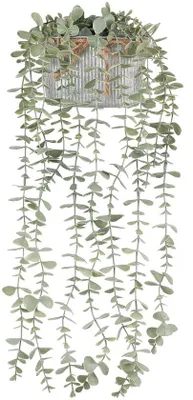Image de Plantes d'intérieur artificielles en eucalyptus vert dans des pots galvanisés