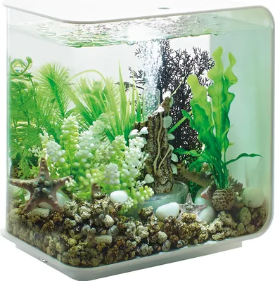 Produktbild von 15-liter-aquarium mit weißen leds Oase FLOW 15 MCR WHITE