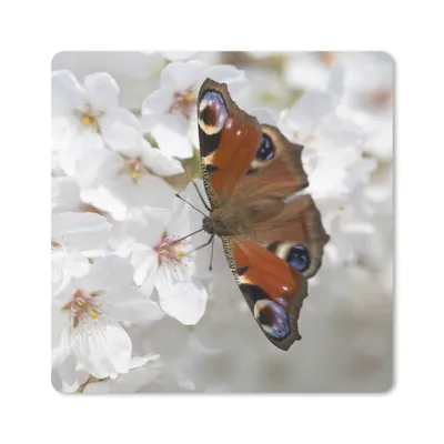 Produktbild von MuchoWow® Mauspad Mousepad Tagpfauenauge Schmetterling auf Kirschblüte 30x30 cm - Mousepads - Maus Mat - Pad - Mausunterlage - Gaming