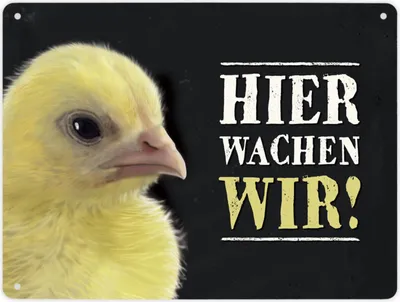 Produktbild von Hier wachen wir! Metallschild XL mit Küken Motiv Schild Blechschild