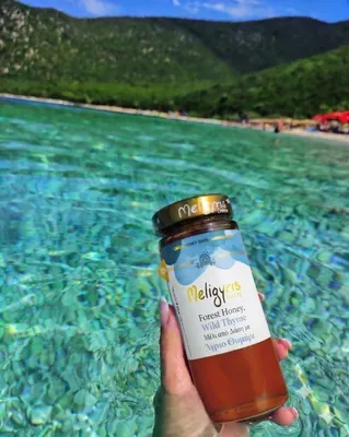 Produktbild von Meligyris Honig 270 g Wilder Bergthymian Natürlich
