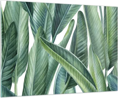 Produktbild von Bilder auf glas - Einteilig - Exotisch Blätter Grün - 100x70cm - Glasbilder - Wandbilder - Bilder - zum Aufhängen bereit - Wanddekoration aus Glas - Glas Bilder - Wandbild auf Glas - GAA100x70-4258