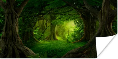 Produktbild von MuchoWow® Poster Bäume - Wald - Grün - Landschaft - Natur 40x20 cm - Poster für die Wand - Poster Schlafzimmer