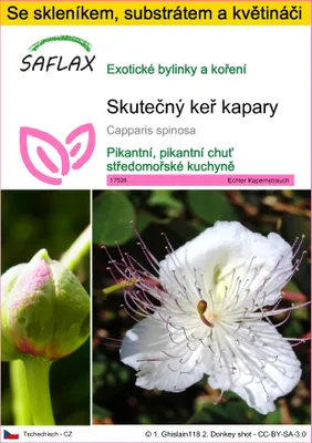 Obrázek produktu pro SAFLAX Kultivační sada - Skutečný keř kapary - Capparis spinosa - 25 Semena - S mini skleníkem, pěstebním substrátem a 2 květináči