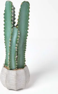 Immagine prodotto di HOMESCAPES Cactus artificiale Hylocereus in vaso di cemento, altezza 49 cm
