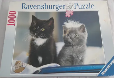 Produktbild von Ravensburger Engel Bengel Puzzle 1000 Teile