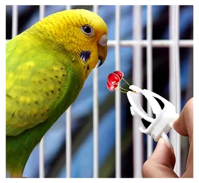 Produktbild von Vogelkäfig Futterhalter, 8 Stück Kunststoff Clips für Vögel und Kleintiere