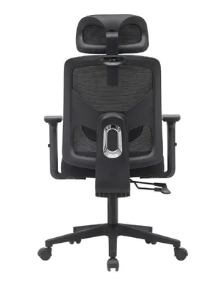 Produktbild von Ergonomischer Bürostuhl Schwarz mit Netzbezug, 2D-Armlehnen, höhenverstellbare Rückenlehne