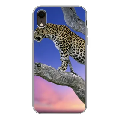 Produktbild von MuchoWow® Handyhülle Schutzhülle Hülle für iPhone XR Leopard - Baum - Zweig Silikon Softcase Handy Hülle - Schutzdeckel