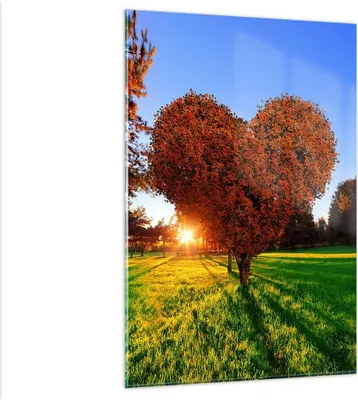 Produktbild von Bilder auf glas - Einteilig - Baum Park Frühling Herz - 80x120cm - Glasbilder - Wandbilder - Bilder - zum Aufhängen bereit - Wanddekoration aus Glas - Glas Bilder - Wandbild auf Glas - GPA80x120-2823