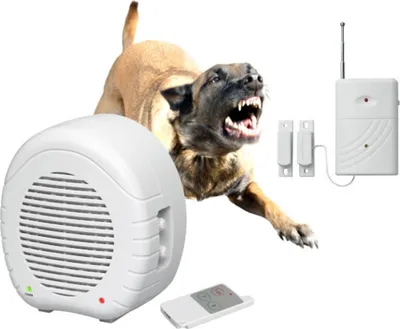 Produktbild von Indexa Set EW01 + MA80KM Elektronischer Wachhund mit Fernbedienung