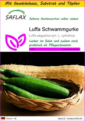 Produktbild von SAFLAX Anzucht Set - Luffa Schwammgurke - Luffa aegyptica syn. L. cylindrica - 10 Samen - Mit Mini-Gewächshaus, Anzuchtsubstrat und 2 Töpfen