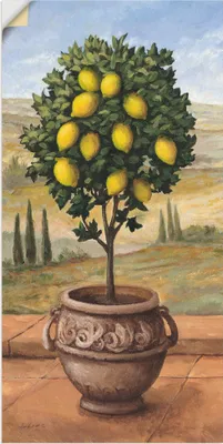 Produktbild von ARTland Wandbild, selbstklebend Zitronenbaum Größe: 30x60 cm