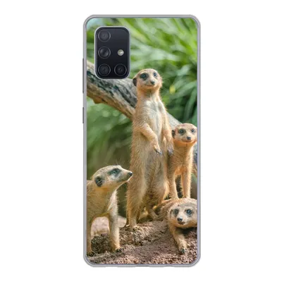 Produktbild von MuchoWow® Handyhülle Schutzhülle Hülle für Samsung Galaxy A51 Familie - Tiere - Erdmännchen Silikon Softcase Handy Hülle - Schutzabdeckung