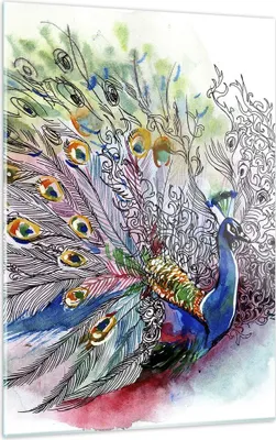 Produktbild von Bilder auf glas - Einteilig - Pfau Feder Farbe - 50x70cm - Glasbilder - Wandbilder - Bilder - zum Aufhängen bereit - Wanddekoration aus Glas - Glas Bilder - Wandbild auf Glas - GPA50x70-3556