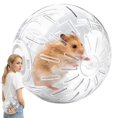 Obrázek produktu pro Průhledný běžecký míč pro křečka, průměr 20 cm