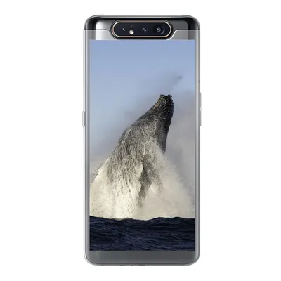 Produktbild von MuchoWow® Handyhülle Schutzhülle Hülle für Samsung Galaxy A80 Wal - Wasser - Südafrika Silikon Softcase Handy Hülle - Schutzdeckel