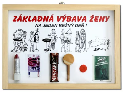 Obrázek produktu pro Základní výbava ženy na jeden běžný den SK