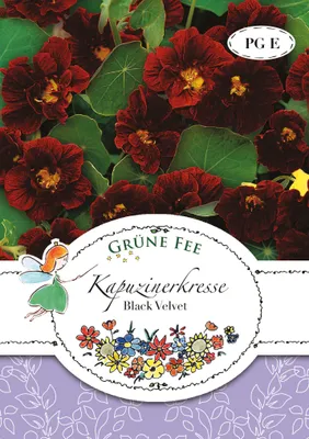 Produktbild von Kapuzinerkresse Black Velvet | Kapuzinerkressesamen von Grüne Fee