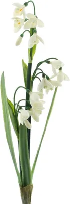 Produktbild von artplants.de Kunst Schneeglöckchen Blume ASOMB, Steckstab, weiß, 45cm - Deko Blume