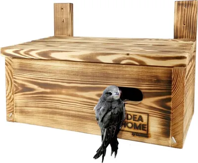 Produktbild von LEVIATAN APUS Nistkasten für Mauersegler, Vögel, aus Massivem-Holz - Verschraubt