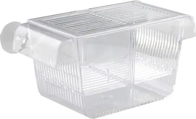 Produktbild von Famanu Aufzuchtbecken für Aquarien - 208 x 97 x 100 mm