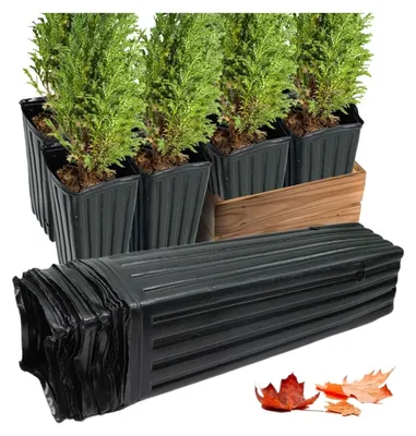 Imagen del producto de Macetas grandes para árboles y plantas con flores