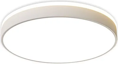 Image de Plafonnier LED rond Modern blanc 60 W, blanc chaud, 3200 lm, métal, dimensions : 6,5 x 60 x 60 cm, IP20, Abigali