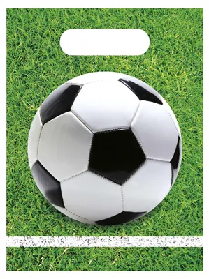 Produktbild von 6 Fußball Party-Geschenktüten aus Kunststoff 23 x 16 cm - Einheitsgröße