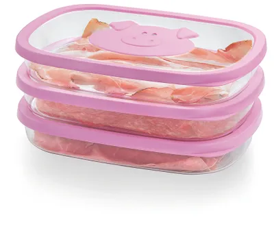 Obrázok produktu pre Snips Cold Meat Saver, Box, Obdĺžnikový, 1,5 L, Ružová, Priehľadná, Polypropylén (PP), Guma, Styrén-akrylonitrilový (SAN), -18 °C