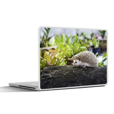 Produktbild von MuchoWow® Laptop Aufkleber Sticker Cover Igel läuft auf Baumstumpf 25x18 cm - Laptop-Deko