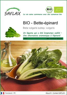 Image de SAFLAX  -- Bette-épinard - 150 graines - Beta