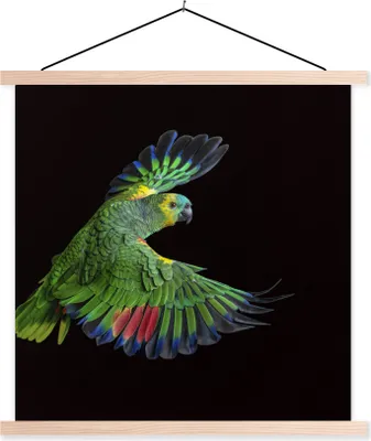 Produktbild von MuchoWow® Textilposter Nahaufnahme bunter Papagei 40x40 cm mit holzfarbenen Rahmen - Posterleiste