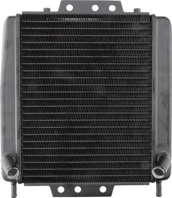 Image de Radiateur à eau noir pour Piaggio MP3 125 250 300 350 400 500 / Gilera Fuoco 500 - Citomerx