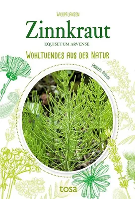 Produktbild von Zinnkraut