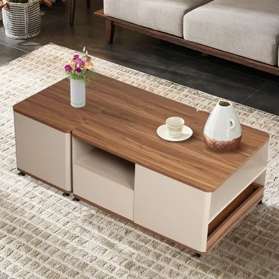 Image de Table basse - Table d'appoint - Table de salon - Table pour canapé - Table multifonctionnelle avec espace de rangement
