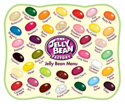 Produktbild von The Jelly Bean Factory 36 Huge Flavours 5kg