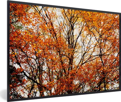 Produktbild von MuchoWow® Gerahmtes Poster Wald - Herbst - Jahreszeiten 90x60 cm - Poster mit Schwarzem Bilderrahmen Wandposter Rahmen Foto Bilder - Fotorahmen - Foto-Plakat