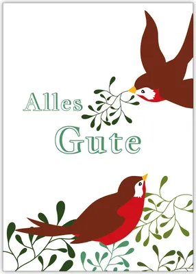 Produktbild von Schöne Glückwunschkarte mit Vögeln und Misteln: Alles Gute in grün