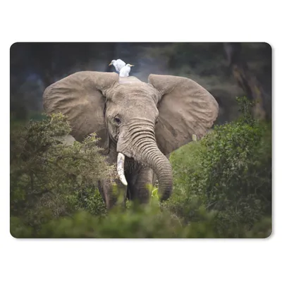 Produktbild von MuchoWow® Mauspad Mousepad Elefant - Reiher - Pflanze 40x30 cm - Mousepads - Maus Mat - Pad - Mausunterlage - Anti Rutsch