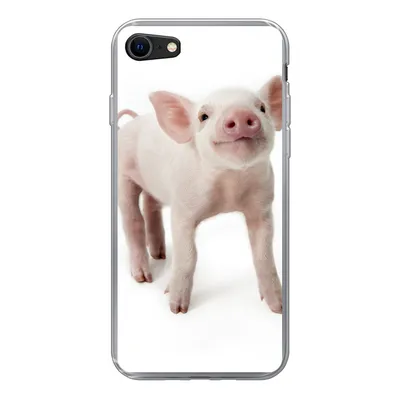 Produktbild von MuchoWow® Handyhülle Schutzhülle Hülle für iPhone SE 2020 Schwein - Tiere - Weiß Silikon Softcase Handy Hülle - Kartenbesitzer