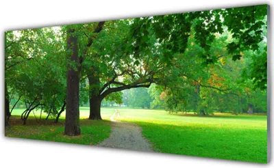 Produktbild von Acrylglasbilder 125x50 Wandbild Druck Fußpfad Bäume Natur
