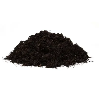 Produktbild von Floragard Torffreie -Erde "Lecker", 80 L