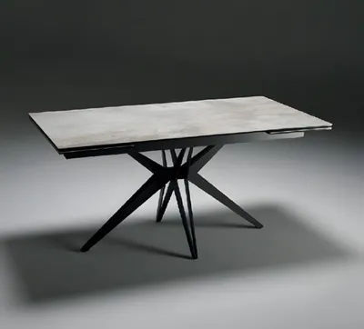 Image de Table de salle à manger Bois Tables de salle à manger Style Moderne Gris Design Extensible