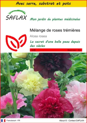 Image de SAFLAX Ensemble de culture - Mélange de roses trémières - 100 graines - Alcea