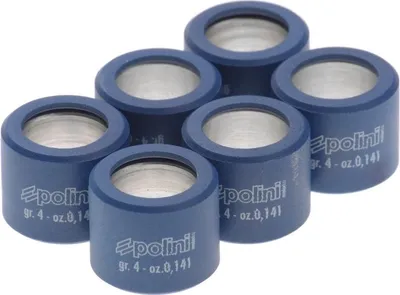 Immagine prodotto di Set di pesi per variatore Polini, composto da 6 rulli variatore di dimensioni 19 x 15,5 mm e peso di 4,3 g