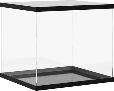 A clear, studio shot of an empty acrylic display case with a black base and frame.