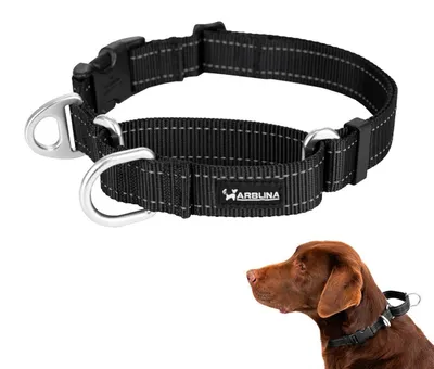 Image de Collier martingale pour chien, réfléchissant, avec arrêt de traction, en nylon, couleur noire, taille M