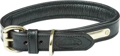 Produktbild von Weatherbeeta Leder Hundehalsband Gepolstert WB1258 (XS) (Schwarz)