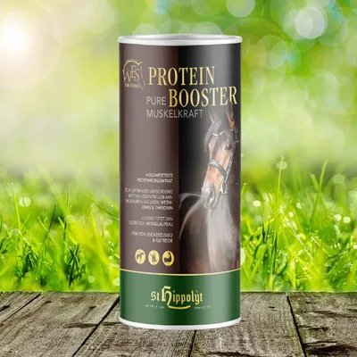 Produktbild von St. Hippolyt WES for Horses - Protein Booster 0,75 kg